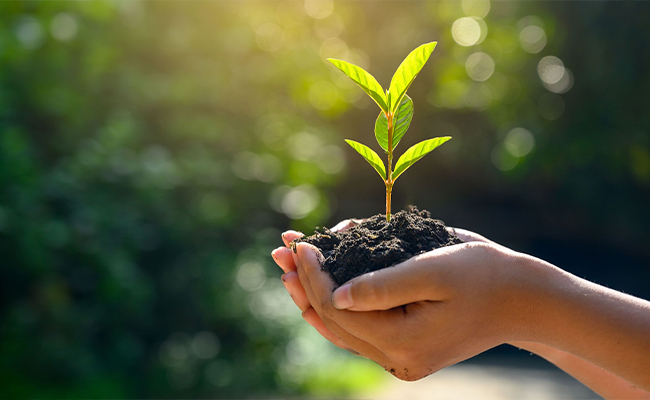Improve Employees' Environmental Awareness